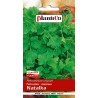 Pietruszka Naciowa Natalka 5g Plantico
