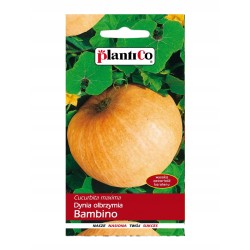 Dynia Olbrzymia Bambino 5g Plantico