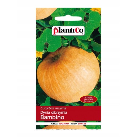 Dynia Olbrzymia Bambino 5g Plantico