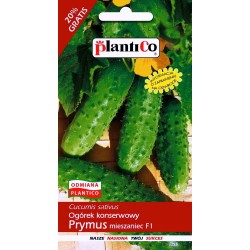 Ogórek Konserwowy Prymus F1 6g Plantico
