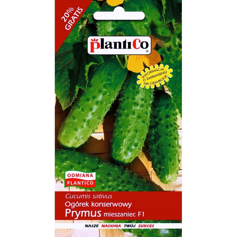 Ogórek Konserwowy Prymus F1 6g Plantico