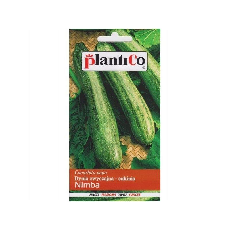 Dynia Zwyczajna - Cukinia Nimba 2g Plantico