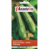 Dynia Zwyczajna - Cukinia Nimba 2g Plantico