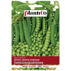 Groch Siewny Łuskowy Nasiona Pomarszczone Cud Kevedonu 40g Plantico