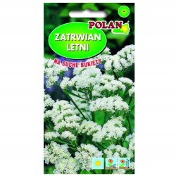 Zatrwian Letni Biały 0,5g Polan