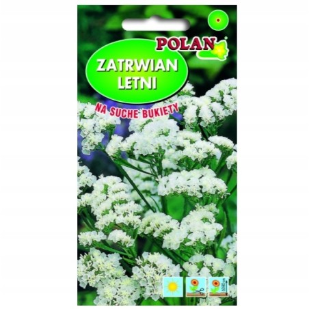 Zatrwian Letni Biały 0,5g Polan