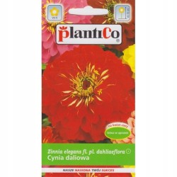 Cynia Daliowa 1g Plantico