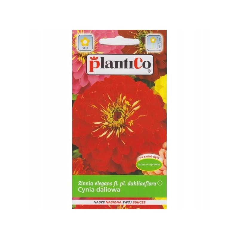 Cynia Daliowa 1g Plantico