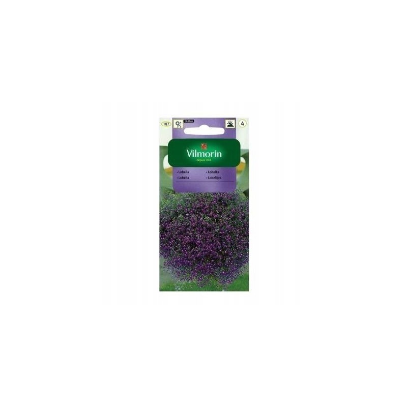 Lobelia Zwisająca 0,2g Vilmorin
