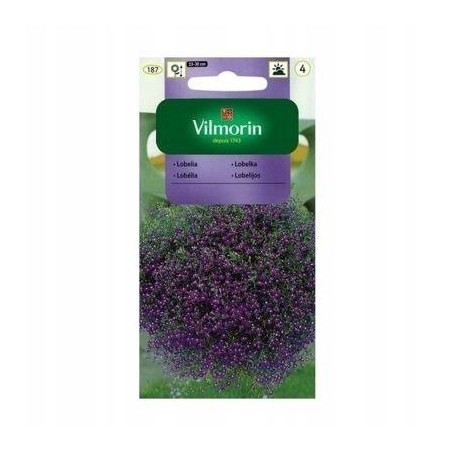 Lobelia Zwisająca 0,2g Vilmorin