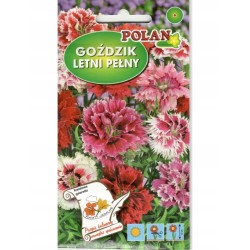 Goździk Chiński Letni Pełny 1g Polan