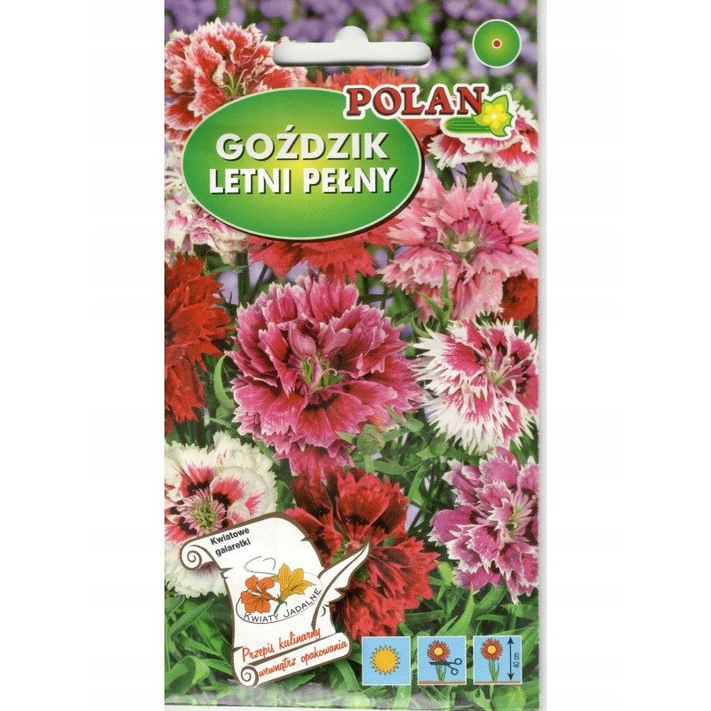 Goździk Chiński Letni Pełny 1g Polan