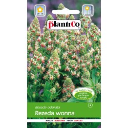Rezeda Wonna Mix 2g Plantico