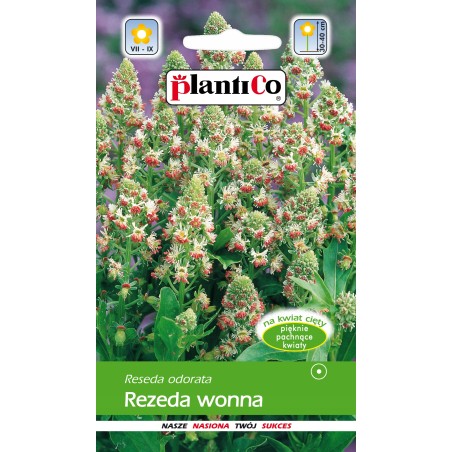 Rezeda Wonna Mix 2g Plantico