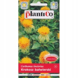 Krokosz Barwierski 0,5g Plantico