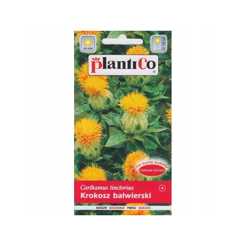 Krokosz Barwierski 0,5g Plantico