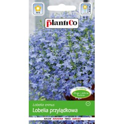 Lobelia Przylądkowa Niebieska Arletka 0,2g Plantico