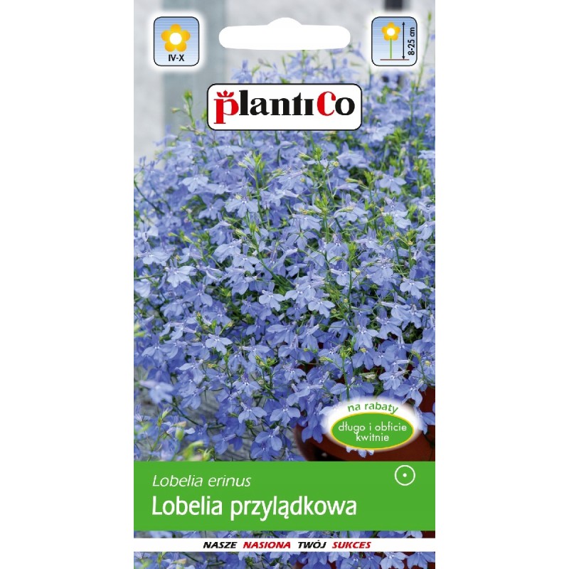 Lobelia Przylądkowa Niebieska Arletka 0,2g Plantico