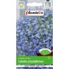 Lobelia Przylądkowa Niebieska Arletka 0,2g Plantico