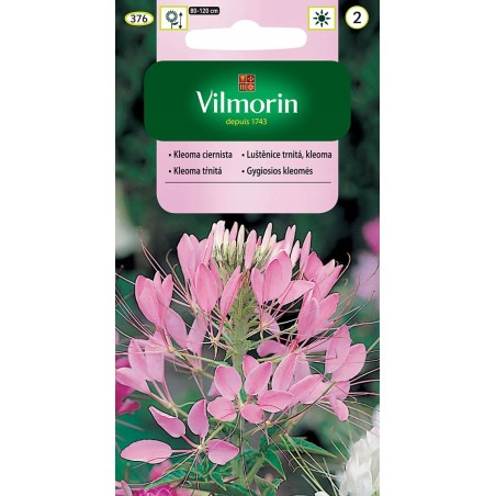 Kleoma Ciernista 1g Vilmorin
