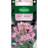 Kleoma Ciernista 1g Vilmorin