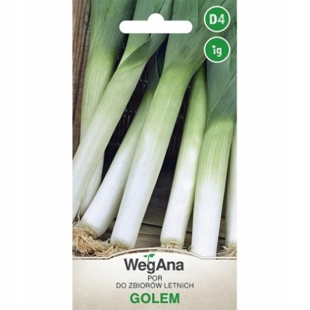 Por Golem 1g WegAna