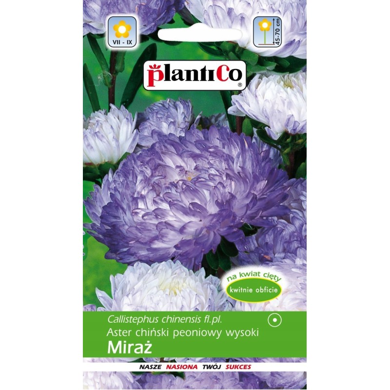 Aster Chiński Peoniowy Wysoki Miraż 1g Plantico