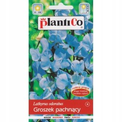 Groszek Pachnący jasnoniebieski 2g Plantico