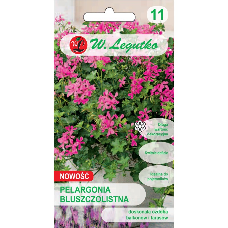 Pelargonia Bluszczolistna Fuchsia F1 5 Nasion W. Legutko