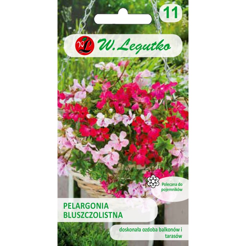 Pelargonia bluszczolistna Speedy F2 5 Nasion W. Legutko