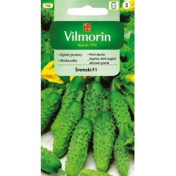 Ogórek Gruntowy Śremski F1 3g Vilmorin