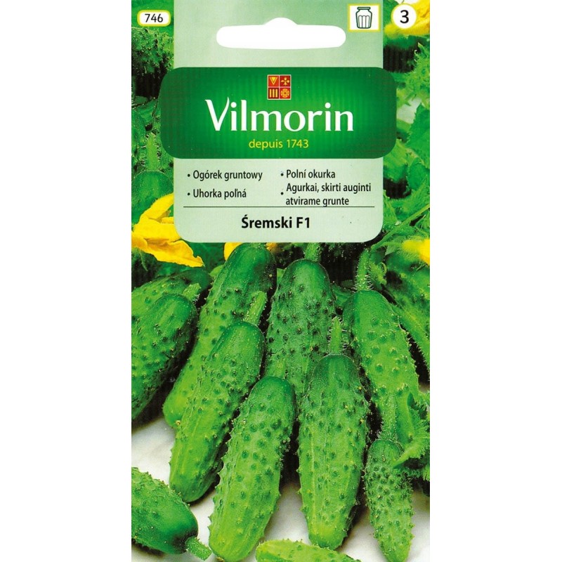 Ogórek Gruntowy Śremski F1 3g Vilmorin
