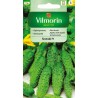 Ogórek Gruntowy Śremski F1 3g Vilmorin