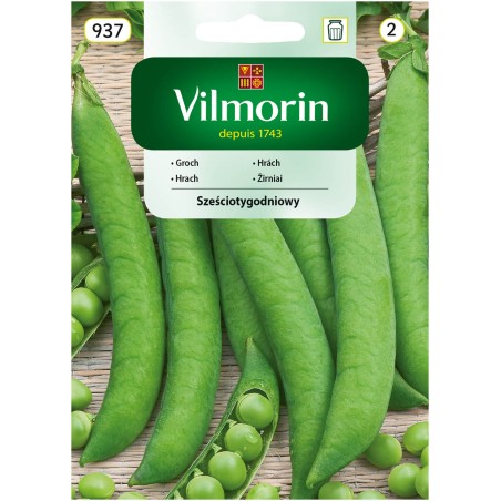 Groch Siewny Łuskowy Sześciotygodniowy 40g Vilmorin