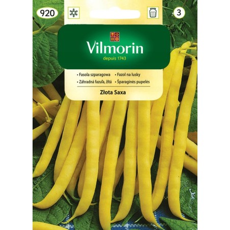 Fasola Zwykła Karłowa Złota Saxa 30g Vilmorin
