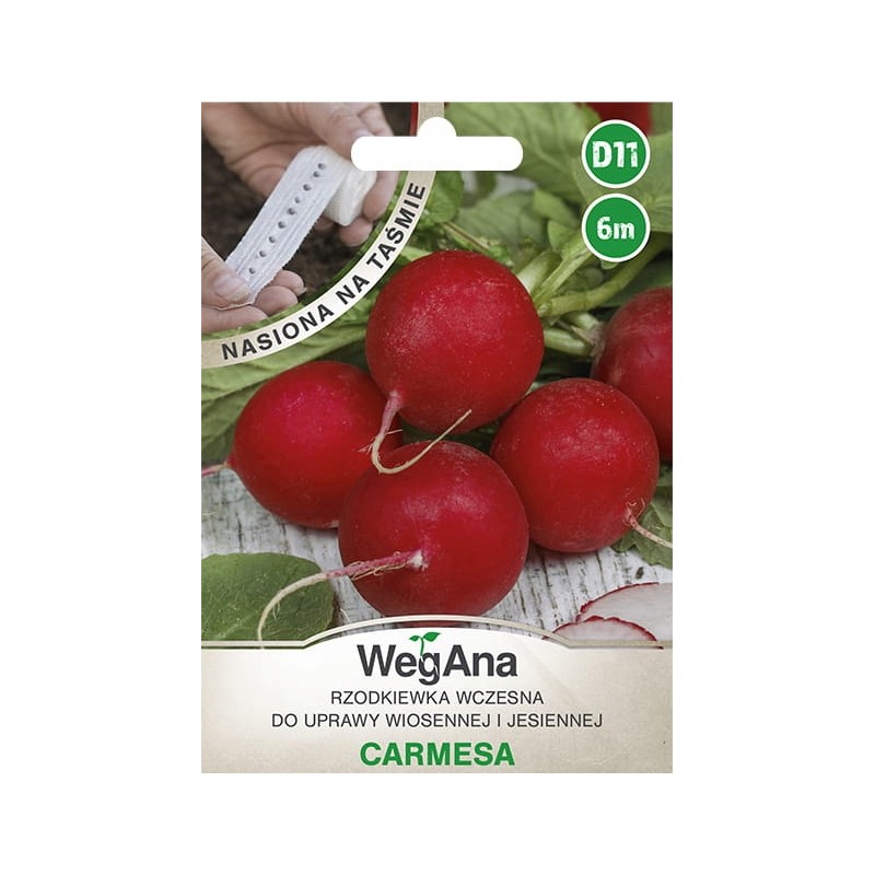 Rzodkiewka Wczesna Carmesa na Taśmie 6m WegAna