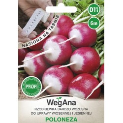 Rzodkiewka Bardzo Wczesna Poloneza na Taśmie 6m WegAna