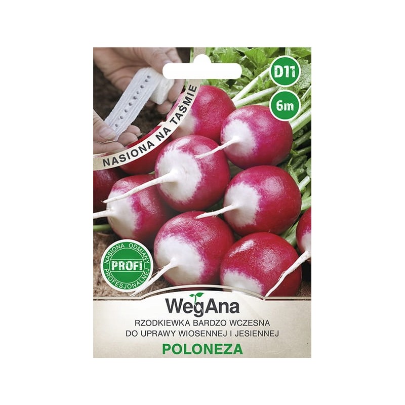 Rzodkiewka Bardzo Wczesna Poloneza na Taśmie 6m WegAna