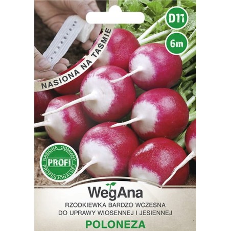 Rzodkiewka Bardzo Wczesna Poloneza na Taśmie 6m WegAna