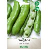 Bób Wczesny Bonus 40g WegAna