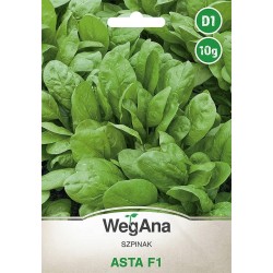 Szpinak Asta F1 10g WegAna