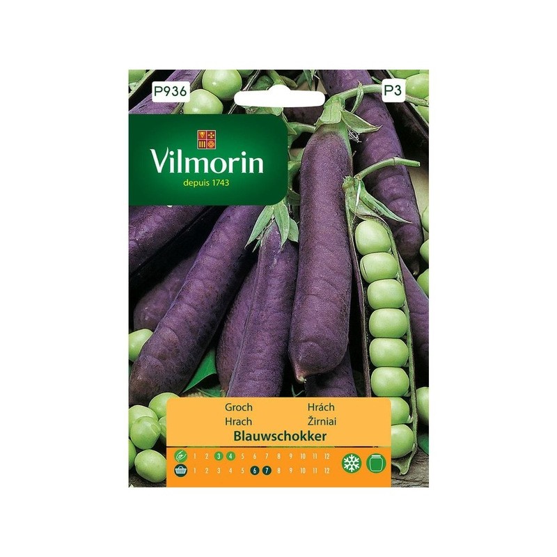 Groch Blauwschokker 20g Vilmorin