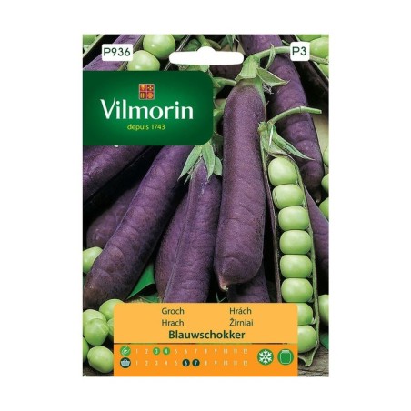 Groch Blauwschokker 20g Vilmorin