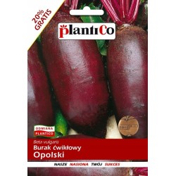 Burak Ćwikłowy Opolski 12g Plantico