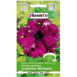 Petunia Ogrodowa Gottfried Michaelis 0,05g Plantico