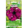 Petunia Ogrodowa Gottfried Michaelis 0,05g Plantico
