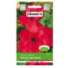 Petunia Ogrodowa Arabeska Czerwona 0,05g Plantico