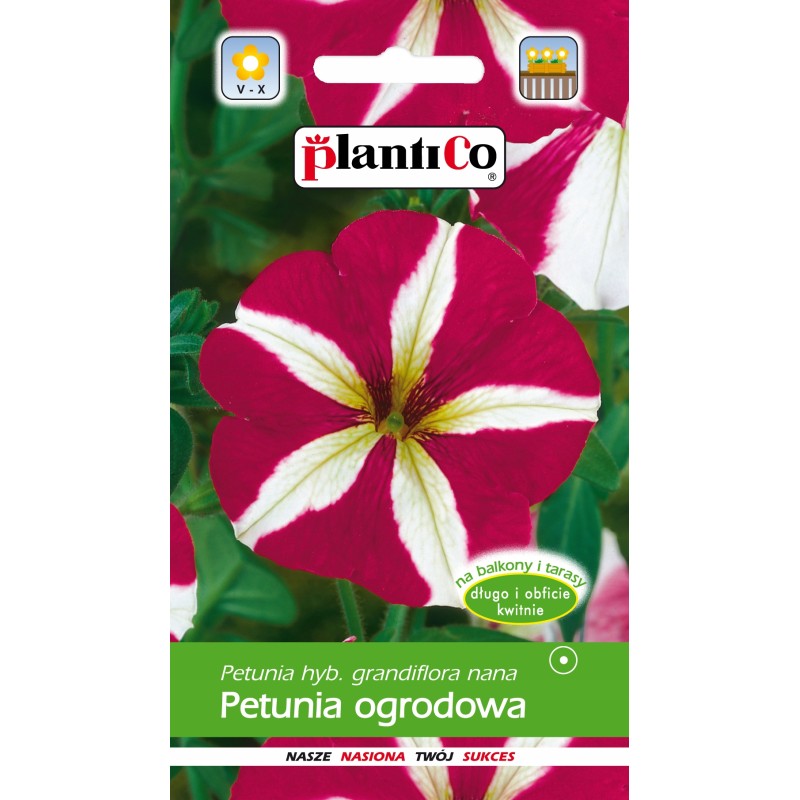 Petunia Ogrodowa Dwukolorowa 0,05g Plantico