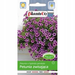 Petunia Ogrodowa Dwukolorowa 0,05g Plantico