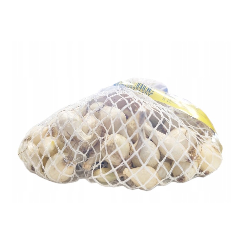 Cebula Dymka Alibaba Biała 5-20mm - 0,25kg